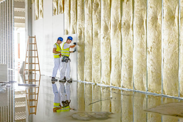 Trusted East Dubuque, IL Insulation Installation & Removal Experts